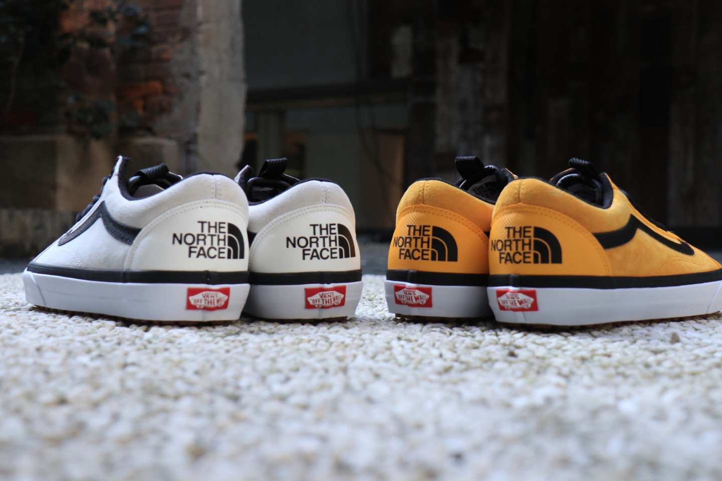 Vans and north face on sale shoe