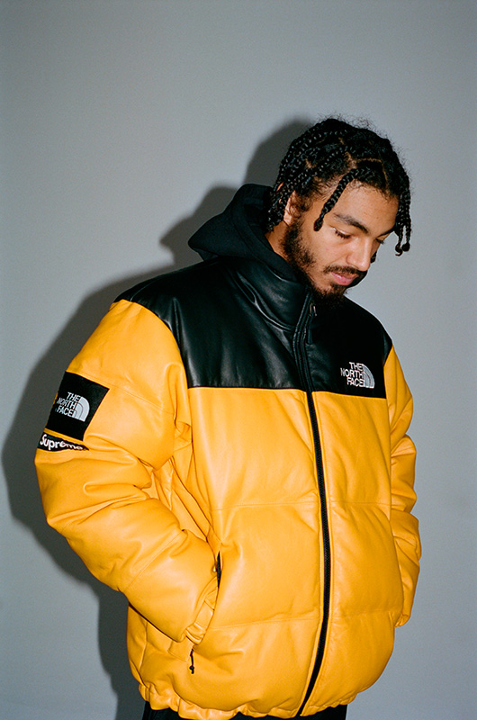 Doudoune the north face x supreme hot sale