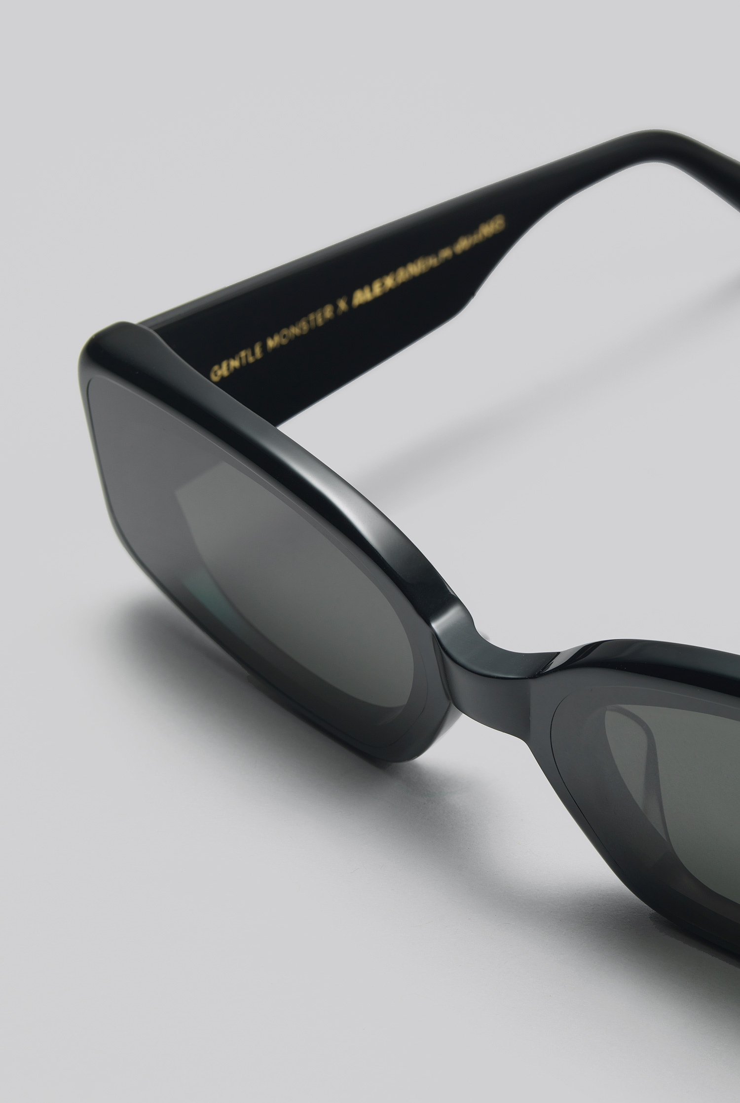 Gentle Monster x Alexander Wang Unveil Sunglasses Collection