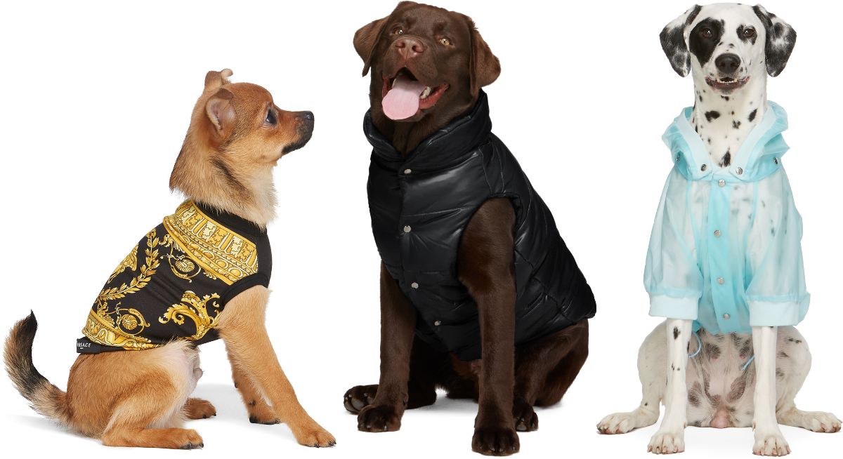 SSENSE Launches Dogwear from Burberry, Versace, Heron Preston & more