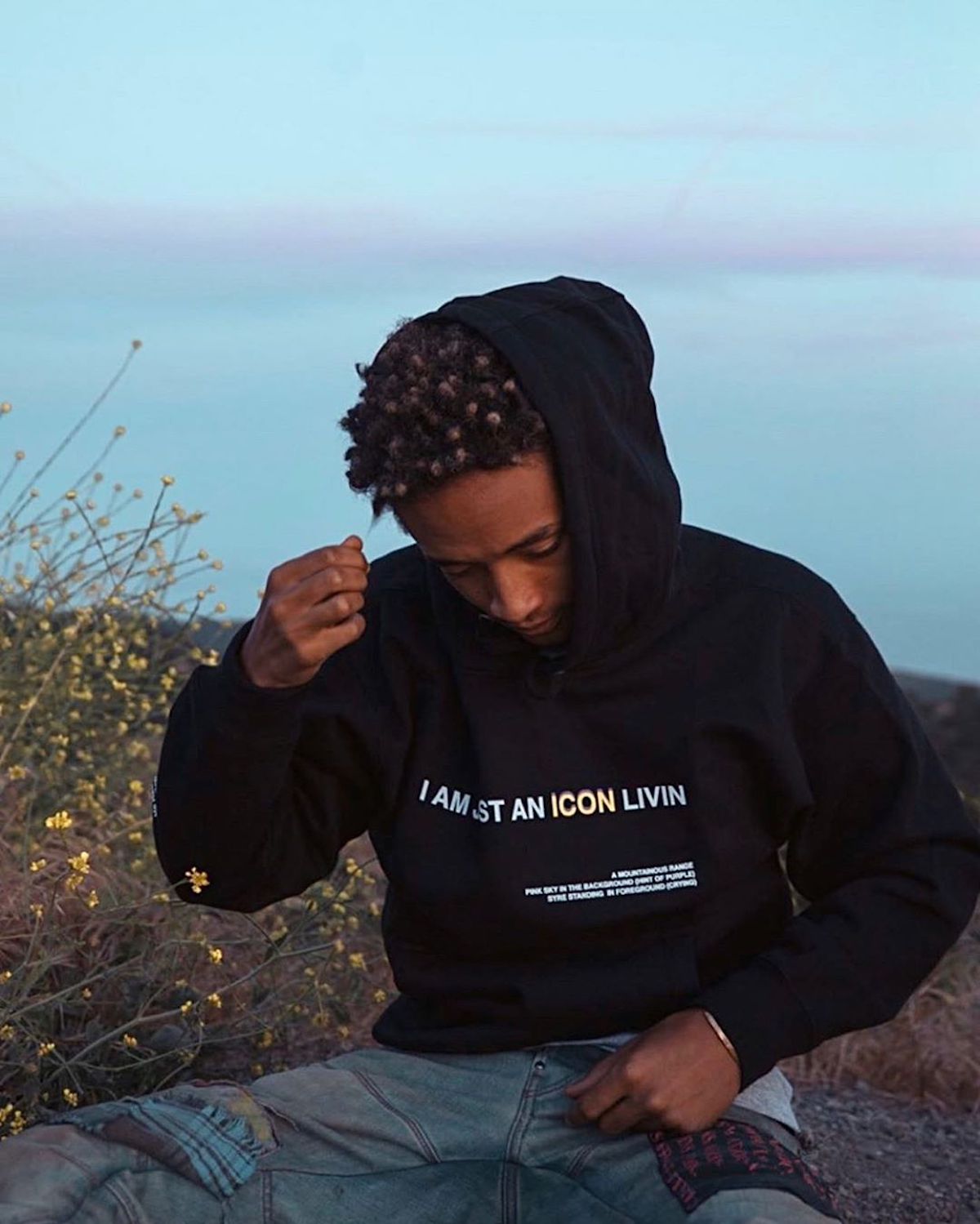 Jaden smith sale hoodie syre