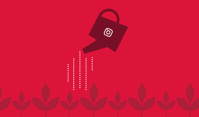 Effective Methods for Growth on Instagram
