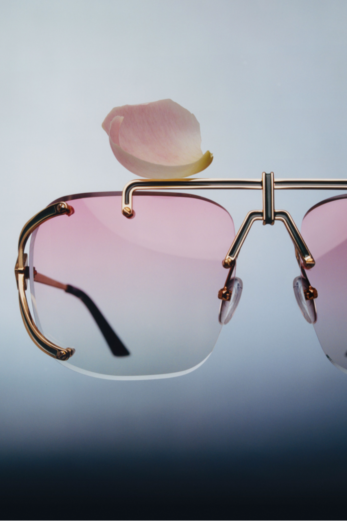 Casablancas's Fall/Winter 2022 Sunglasses Collection — Official Roses