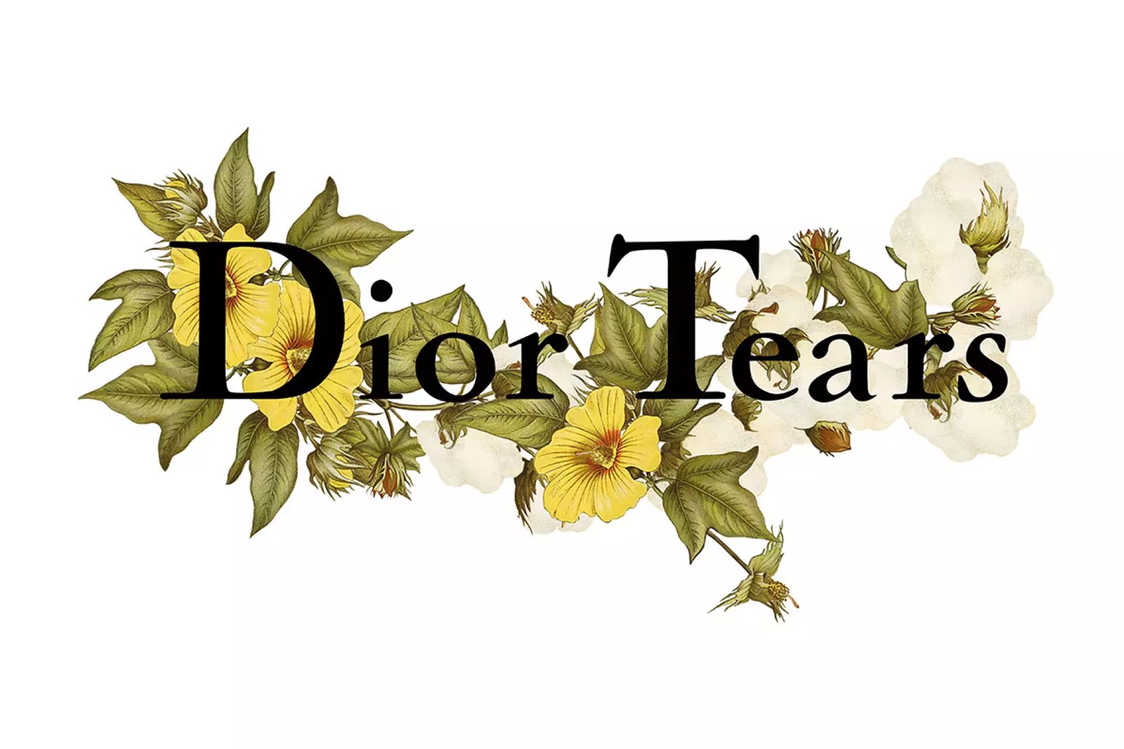 ‘Dior Tears’ Guest-Designed by Tremaine Emory will be Previewed in Egypt