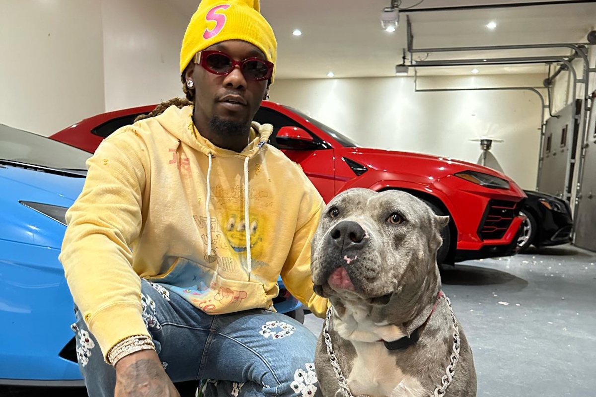 SPOTTED: Offset Sits Pretty with his Pooch Wearing Maison Mihara Yasuhiro, Supreme & more