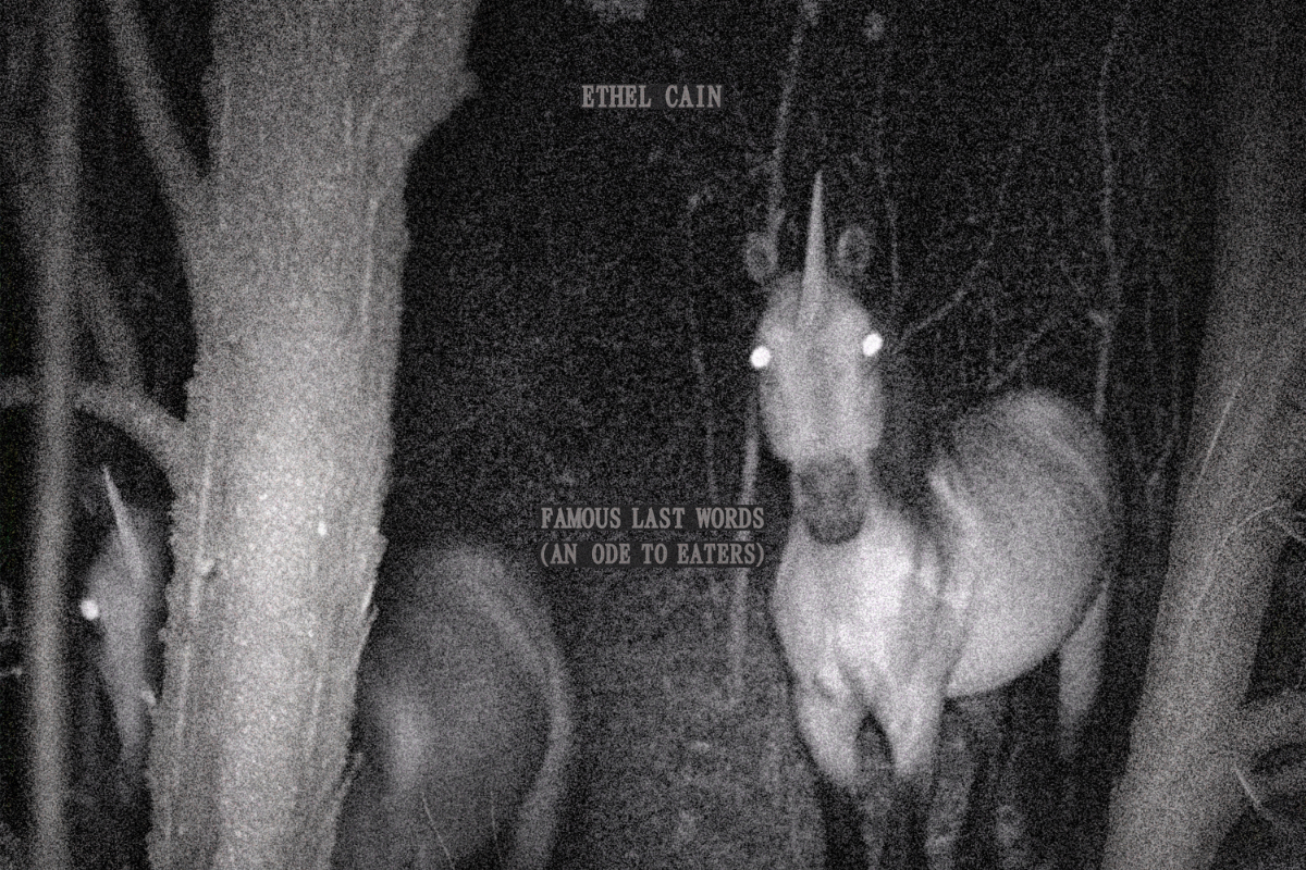 Ethel Cain Drops First Track from Upcoming 1017 ALYX 9SM Compilation Vol.1