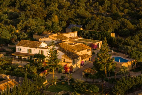 CAN BENEÏT FROM ABOVE_1